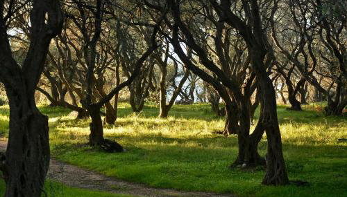 Sunset Cottage - Foto 2