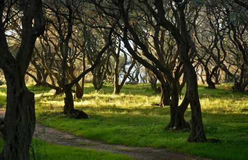 Sunset Cottage - Photo 2