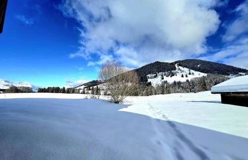 Chalet du Lay Côte 2000 ski in ski out - Foto 29