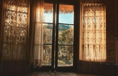 Cabayourte à la mauvaise herbe - Foto 7