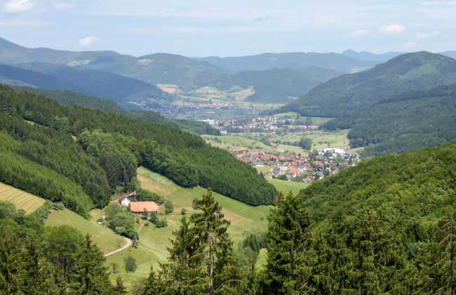 Schmalzenhof - Foto 20