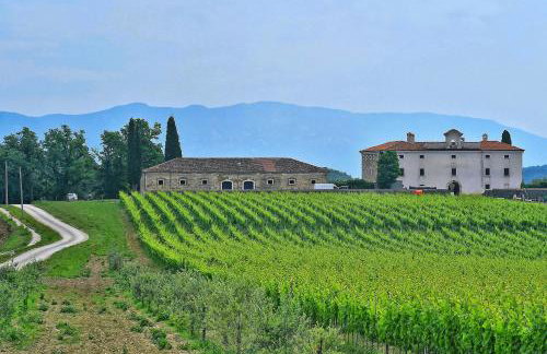 Holiday Home Lori - Foto 42