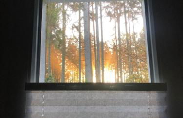 Tiny House - Auszeit im Wald am Badesee - Foto 22