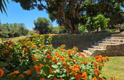 Estudio en Benalmádena - Foto 28