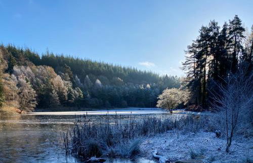 Humbug House - Foto 37