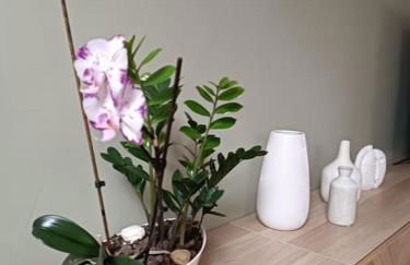 La Villa Bénédictins avec piscine - Foto 30