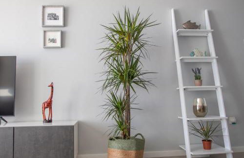 Precioso apartamento frente a la playa con piscina - Foto 21