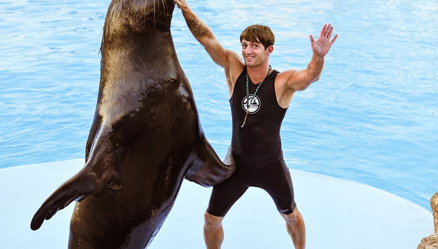 Spettacolo dei Delfini - Foto 3