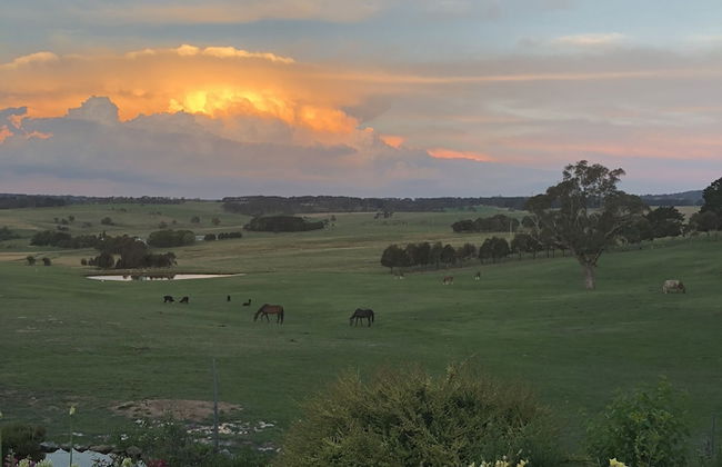 High Country Trail Rides & Farm Stay - Foto 13