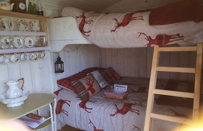 Meadow Shepherds hut - Photo 4