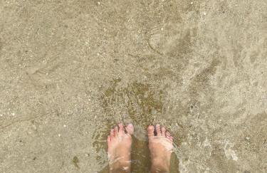 Condado Aldeia dos Reis 311 - Foto 37