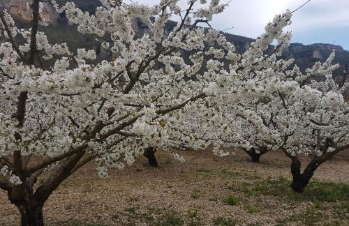 Gîte Les Gorges du Tarn - Photo 27