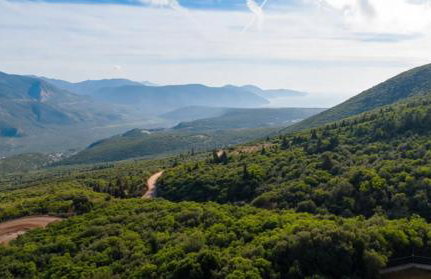 Aselinos Forest Estate - Foto 1