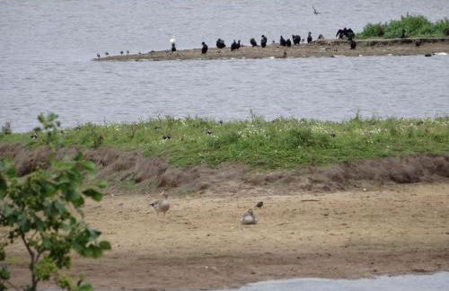 Apartment Geltinger Bucht by Interhome - Foto 30