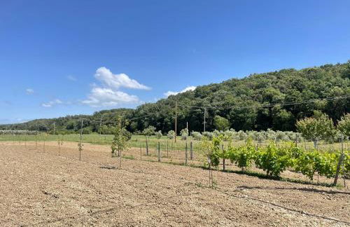 Il Leccio Agriturismo - Foto 57