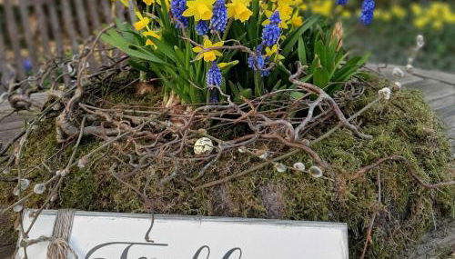 Ferienwohnungen Stellerbruch - Foto 2