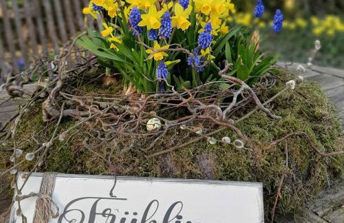 Ferienwohnungen Stellerbruch - Foto 2