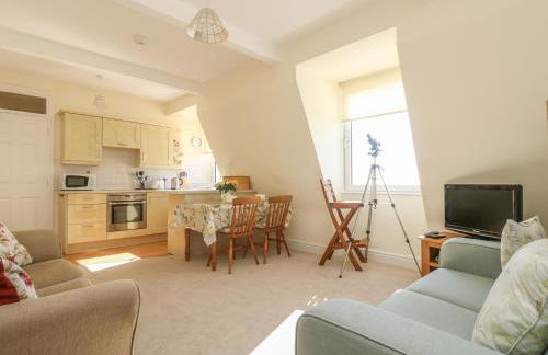 Gannet Watch - Foto 6