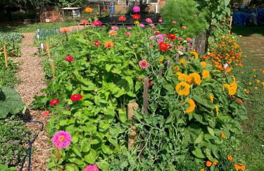 Himmelreich Rügen - Foto 59