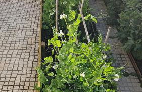 Casa do Aconchego em Freiria - Foto 24