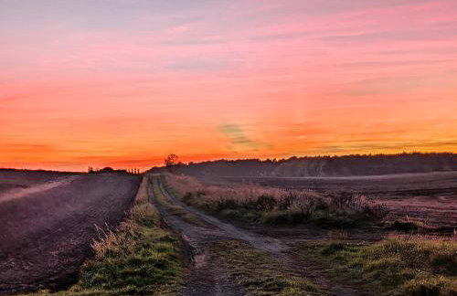 Raygill Shepherds Hut - Foto 23
