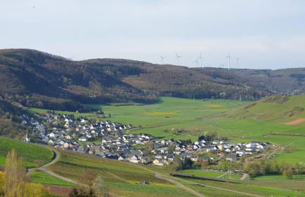 Ferienwohnung im Moseltal - Foto 23