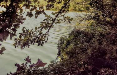 Secluded Watertree Tiny House near Old Hickory Lake – Private Deck, Trails & Breakfast - Foto 66