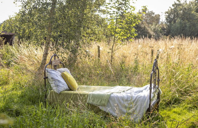 Lotus Belle Tents Sleeping up to 7 Guests - Foto 9