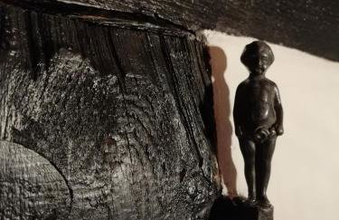 Art Apartament Puszczykowo - Foto 41