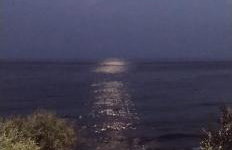 Δίπλα στο κύμα -Βeside the wave - Photo 38
