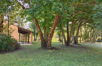 La casetta nel bosco - Photo 8