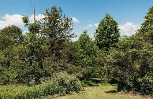 Rustic Ridge - Foto 17