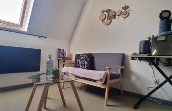 Lia parking rénové proche cité congrès 24m2 - Foto 7