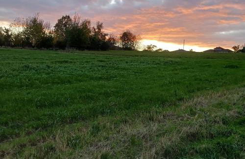 Waldzauber 2 Budget-Apartment - Foto 19