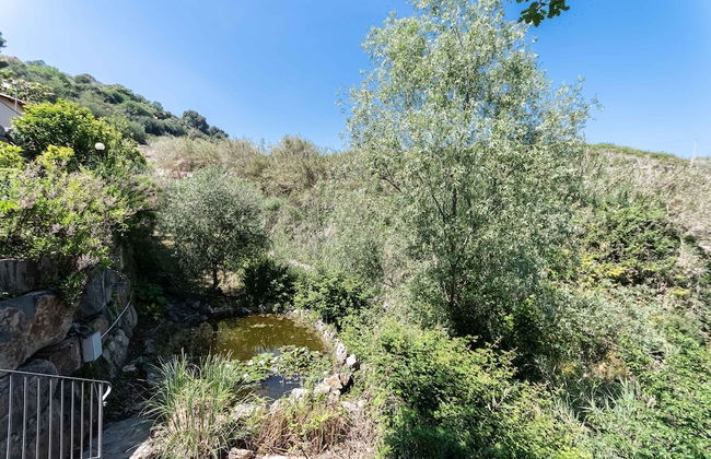 Villa Riviera- Bluchalet - Foto 35