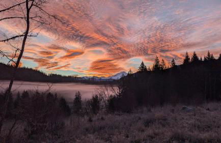 Maple Falls Cabin #58 - Wi-Fi - Pets Ok - Views - Vc - Sauna - Soaker Tub - Foto 31