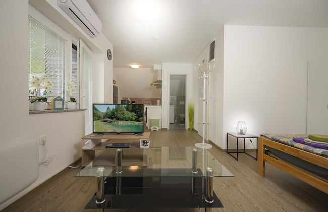 Apartments Rikli Rodine near Bled - Foto 13