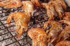 Appartamento del conte - Foto 17