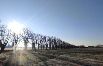 AGRITURISMO LE CORTI DELLA GUALDANA - Foto 15