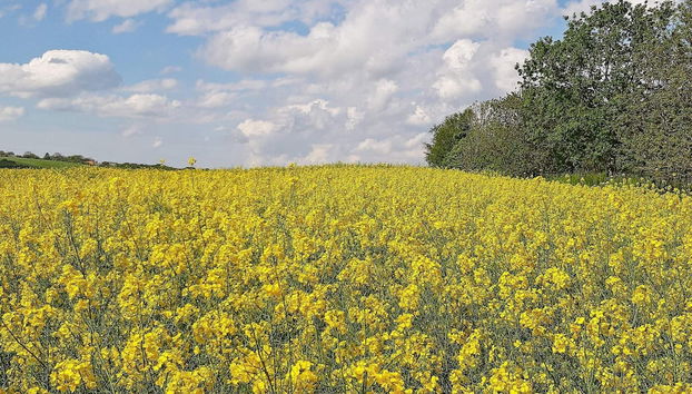 6 Person Holiday Home on a Holiday Park in Saeby - Foto 2, Miscelánea