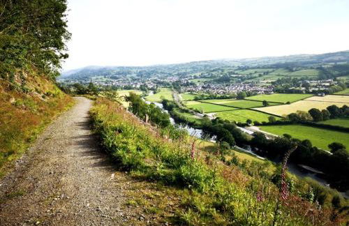 Hand Apartment, Llanrwst, Conwy, Snowdonia - Photo 30
