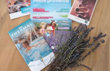 La Provence vous Attend***!!! - 1er étage - Foto 27