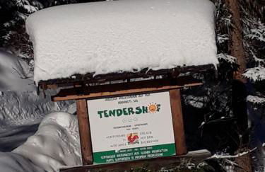 Tendershof Reschen - Foto 12