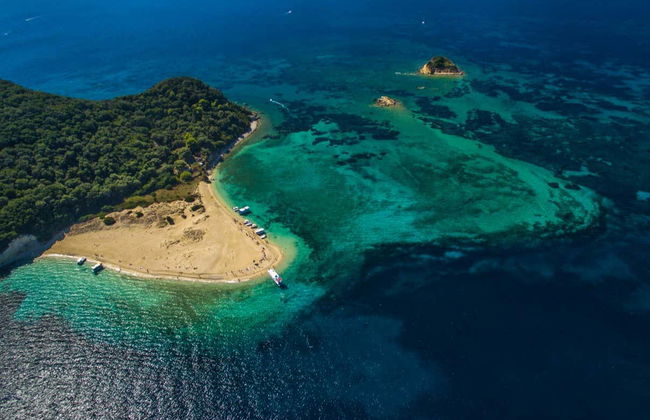 Passeio de barco com fundo de vidro com avistamento de tartarugas - Foto 4