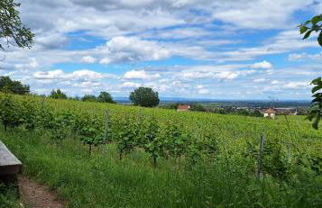 Haus Mittendrin - Foto 37