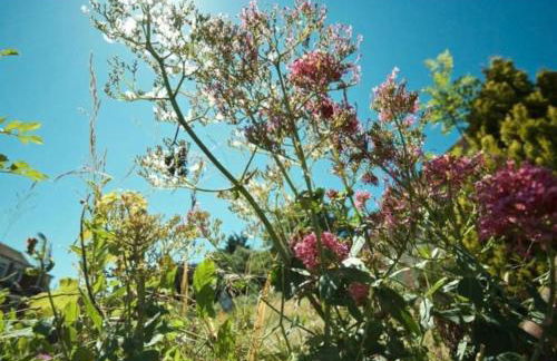 Wish End Cottage - Foto 21