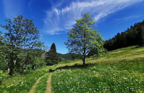 Haus Feldbergblick, Apartment "Valentine", Lenzkirch, Hochschwarzwaldkarte - Foto 22
