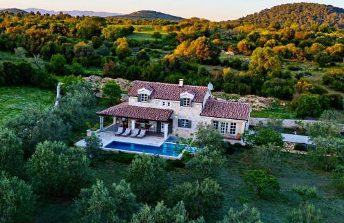 NEW 2023 Villa Tree of Life - Photo 2