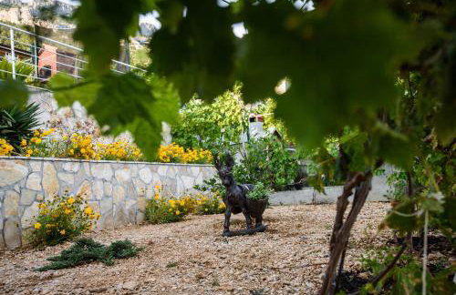 Villa Dusanka - Foto 6