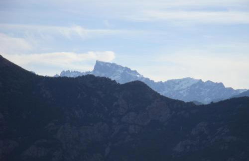 Fior di Macchia - Foto 8